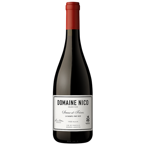 [3071] VINO DOMAINE NICO LA SAVANTE 2023 750 ML