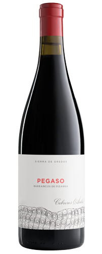 [998] VINO TELMO RODRIGUEZ PEGASO PIZARRA 2021 750 ML