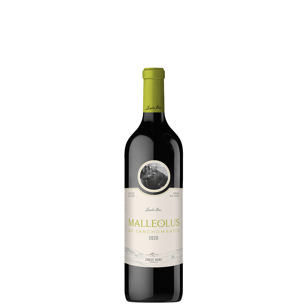 VINO MALLEOLUS SANCHOMARTIN 2020 750 ML