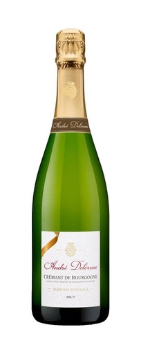[428] ESPUMANTE ANDRE DELORME TERROIRS MINERAUX BRUT CREMANT DE BOURGOGNE 750 ML