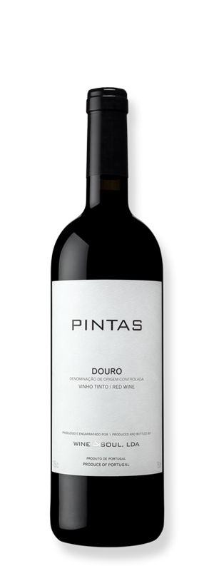 VINO PINTAS DOURO RED 2022 750 ML
