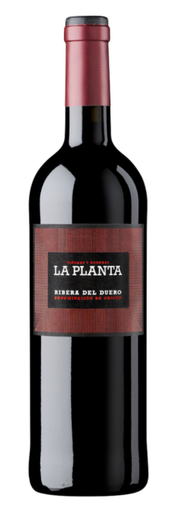 [3031] VINO ARZUAGA LA PLANTA 2024 750 ML